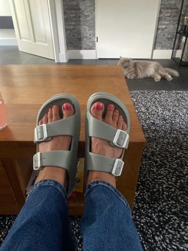 Review by Carol